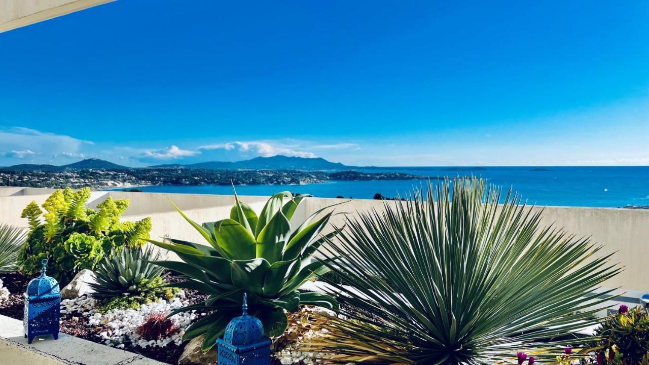 Vue Mer Panoramique - Grande Terrasse Et Piscine 邦多勒 外观 照片