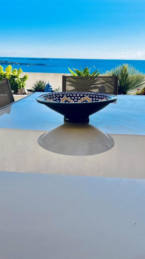 Vue Mer Panoramique - Grande Terrasse Et Piscine 邦多勒 外观 照片