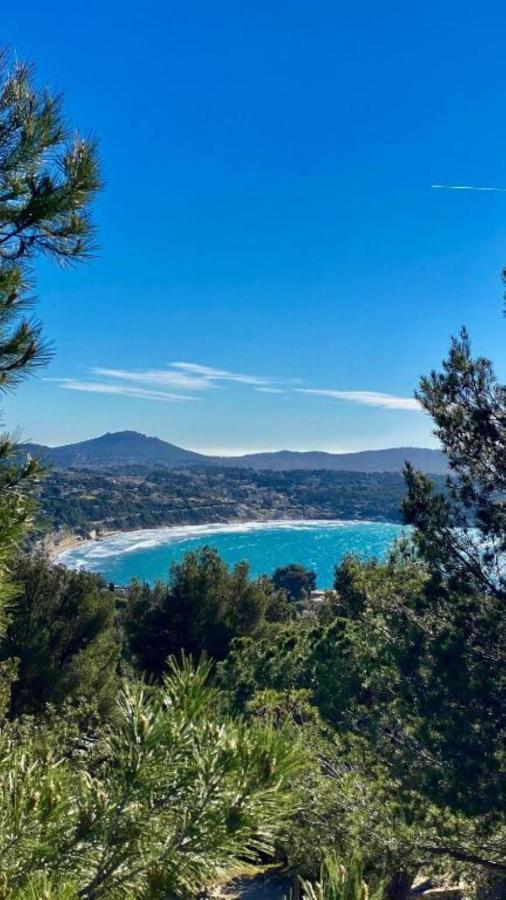 Vue Mer Panoramique - Grande Terrasse Et Piscine 邦多勒 外观 照片